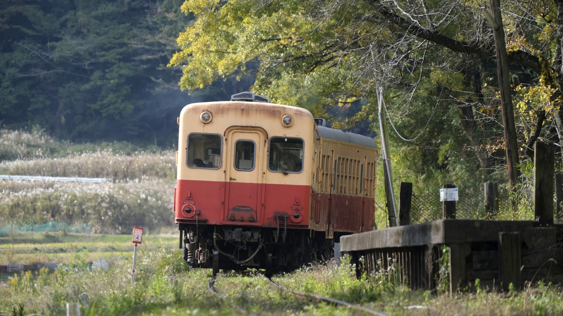 小湊鉄道の列車