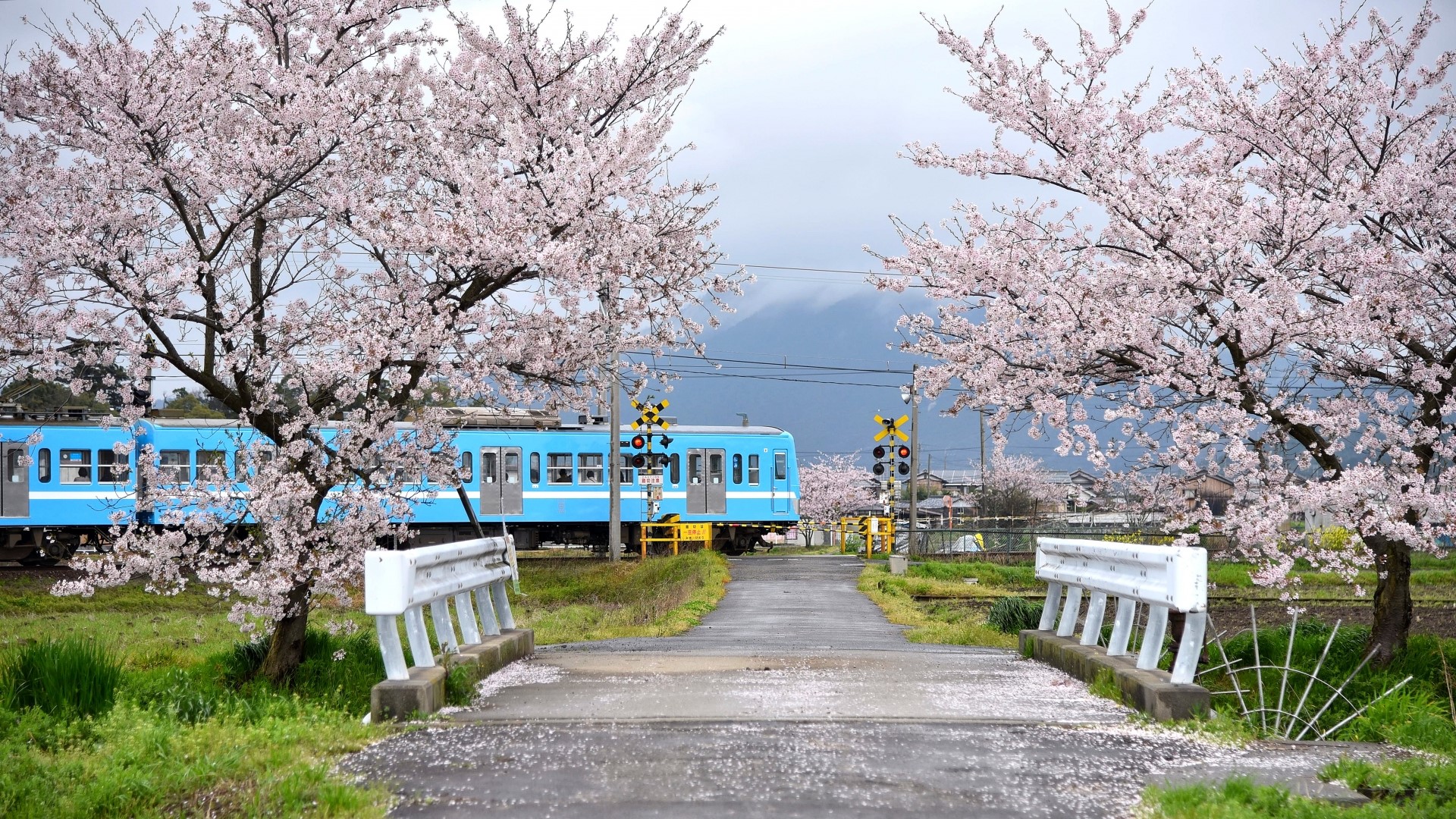 近江鉄道の列車