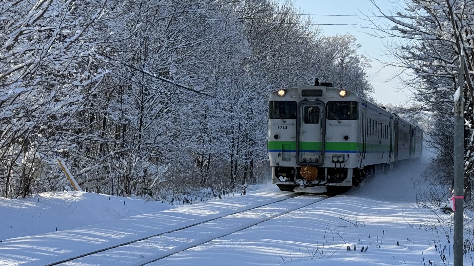 黄線区を走るJR北海道の列車