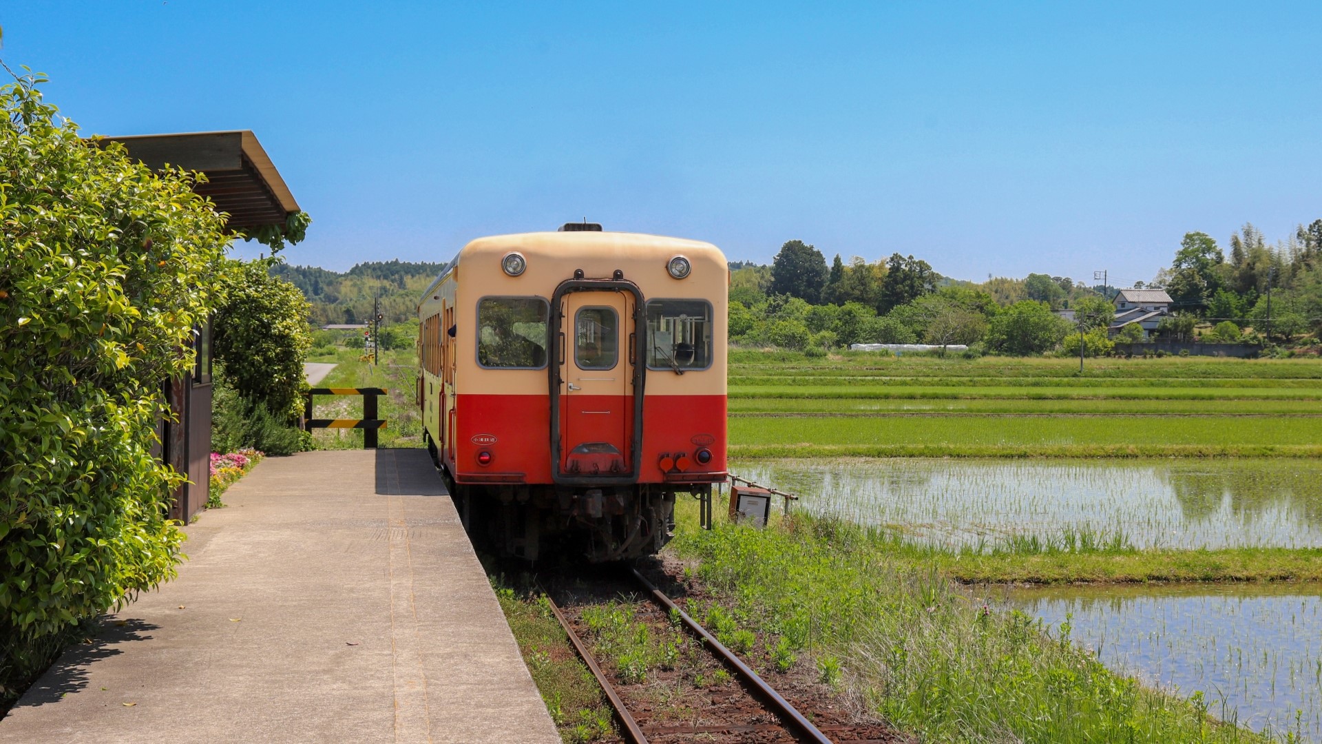 小湊鉄道の列車と駅